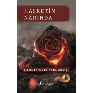 Hasretin Narında