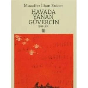 Havada Yanan Güvercin