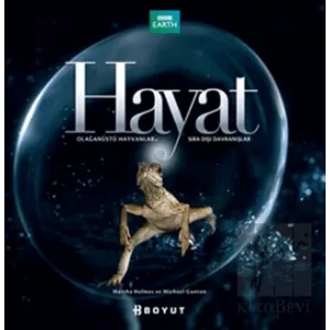 Hayat