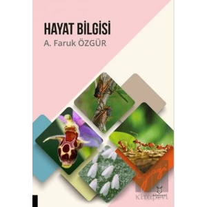 Hayat Bilgisi