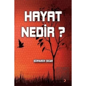 Hayat Nedir?