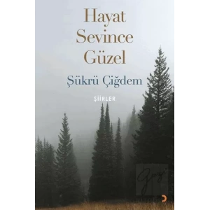 Hayat Sevince Güzel