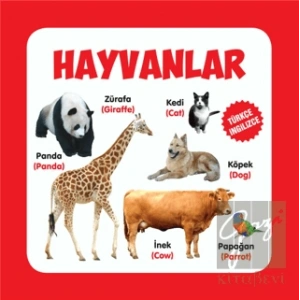 Hayvanlar