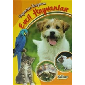 Hayvanları Tanıyorum - Evcil Hayvanlar
