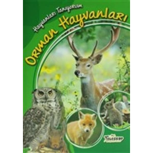 Hayvanları Tanıyorum - Orman Hayvanları