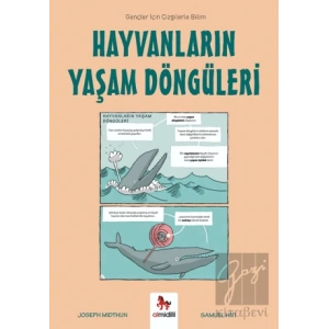 Hayvanların Yaşam Döngüleri