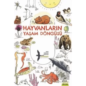 Hayvanların Yaşam Döngüsü