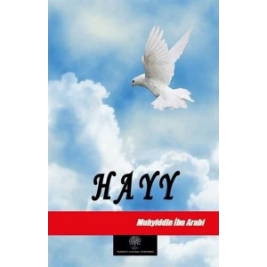 Hayy