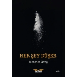 Her Şey Düşer