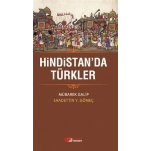 Hindistanda Türkler