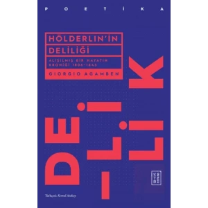 Hölderlinin Deliliği