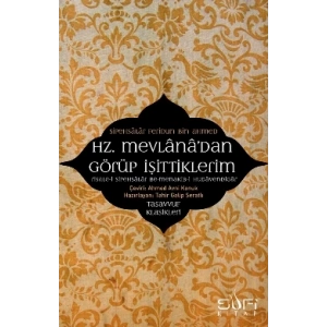 Hz. Mevlanadan Görüp İşittiklerim