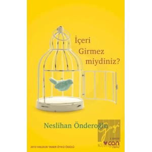 İçeri Girmez miydiniz?