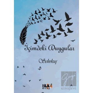 İçimdeki Duygular