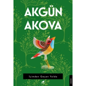 İçimden Geçen Yolda