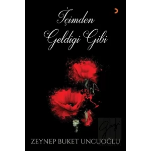 İçimden Geldiği Gibi