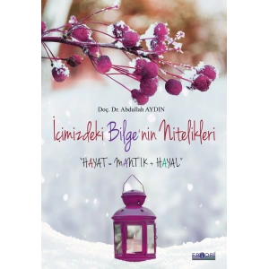 İçimizdeki Bilge’nin Nitelikleri