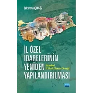 İl Özel İdarelerinin Yeniden Yapılandırılması İstanbul İl Özel İdaresi Örneği