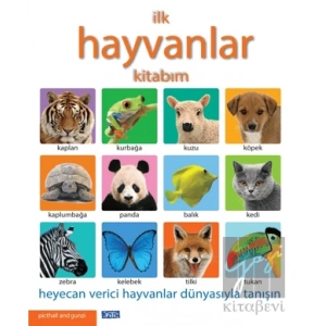 İlk Hayvanlar Kitabım