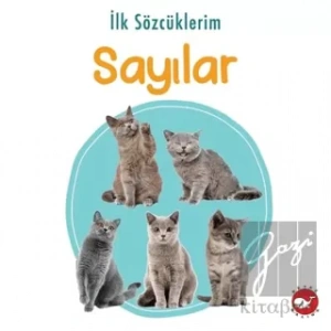 İlk Sözcüklerim - Sayılar