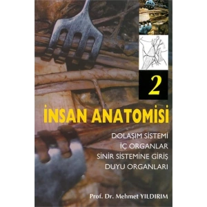 İNSAN ANATOMİSİ 2