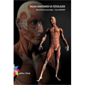İnsan Anatomisi ve Fizyolojisi