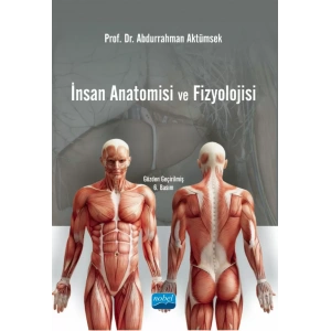 İnsan Anatomisi ve Fizyolojisi
