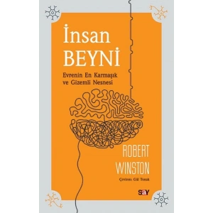 İnsan Beyni