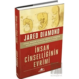 İnsan Cinselliğinin Evrimi