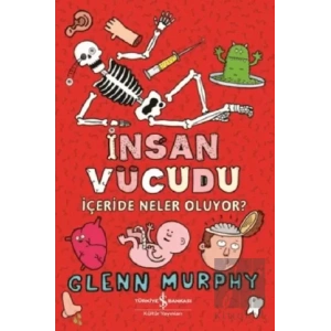 İnsan Vücudu