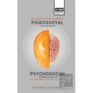 İş Sağlığı ve Güvenliğinde Psikososyal Yaklaşımlar