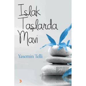 Islak Taşlarda Mavi