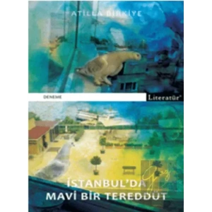 İstanbulda Mavi Bir Tereddüt