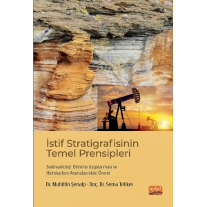 İstif Stratigrafisinin Temel Prensipleri, Sedimantoloji Bilimine Uygulanması ve Hidrokarbon Aramalarındaki Önemi