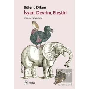 İsyan, Devrim, Eleştiri
