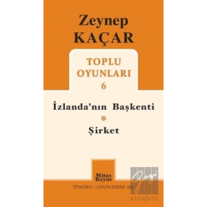 İzlandanın Başkenti Şirket - Toplu Oyunları 6