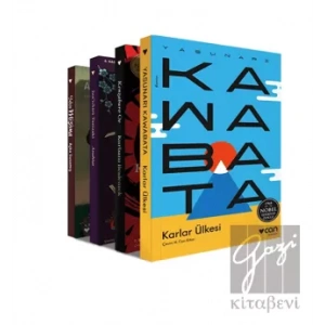 Japon Edebiyatı Seti