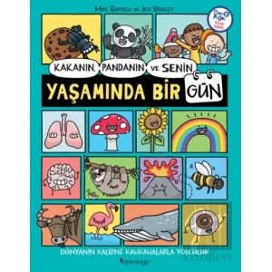Kakanın, Pandanın ve Senin Yaşamında Bir Gün