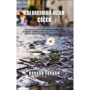 Kaldırımda Açan Çiçek