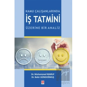 Kamu Çalışanlarında İş Tatmini Üzerine Bir Analiz