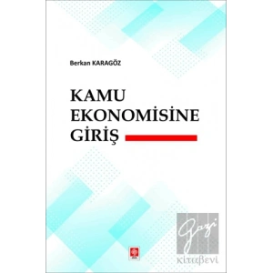 Kamu Ekonomisine Giriş