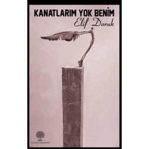 Kanatlarım Yok Benim