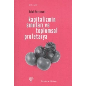 Kapitalizmin Sınırları ve Toplumsal Proletarya