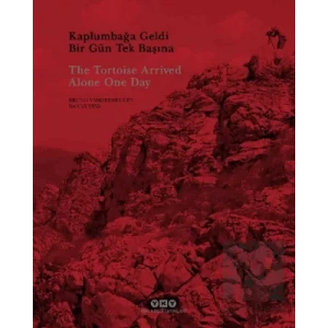 Kaplumbağa Geldi Bir Gün Tek Başına