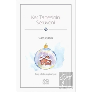 Kar Tanesinin Serüveni