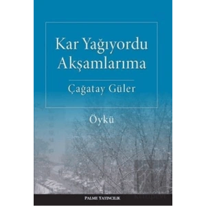 Kar Yağıyordu Akşamlarıma