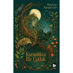 Karanlıkta Bir Çatlak