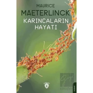 Karıncaların Hayatı