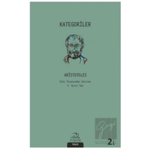 Kategoriler