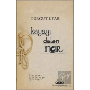 Kayayı Delen İncir